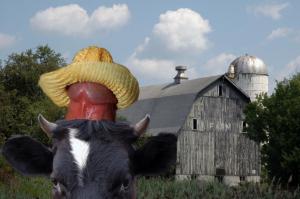 farm dick